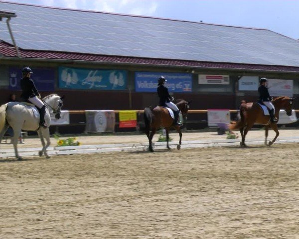 Reitturnier Marienheide-Kempershöhe 2024