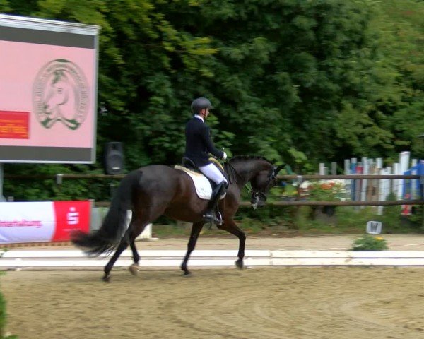 Reitturnier Marienheide-Kempershöhe 2024