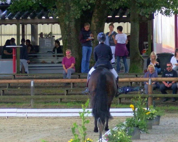 Reitturnier Marienheide-Kempershöhe 2024