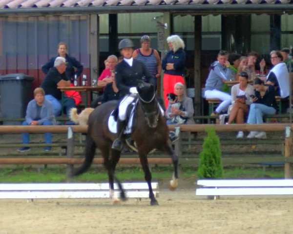Reitturnier Marienheide-Kempershöhe 2024