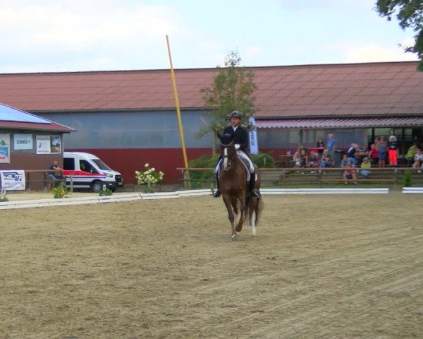 Reitturnier Marienheide-Kempershöhe 2024