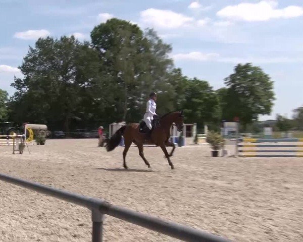 Reitturnier Rot am See Musdorf 2024
