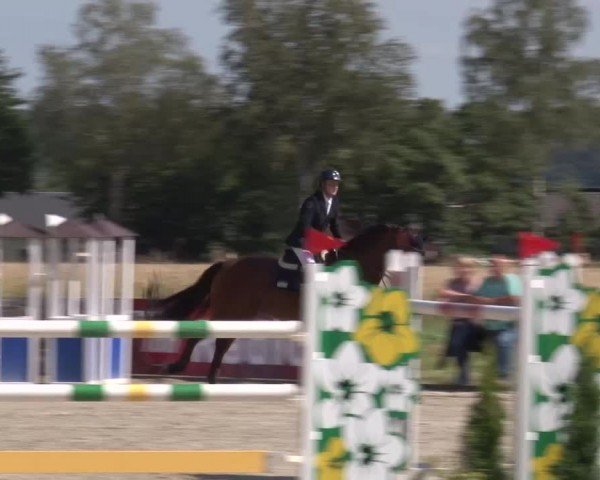 Reitturnier Rot am See Musdorf 2024