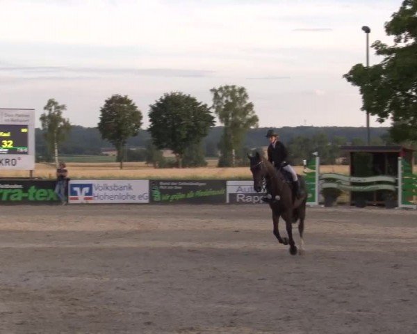 Reitturnier Rot am See Musdorf 2024