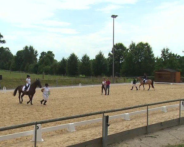 Reitturnier Altentrüdingen/Mfr. 2024