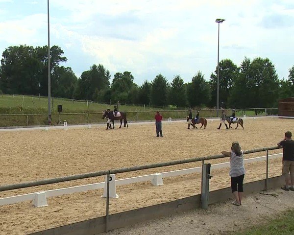 Reitturnier Altentrüdingen/Mfr. 2024