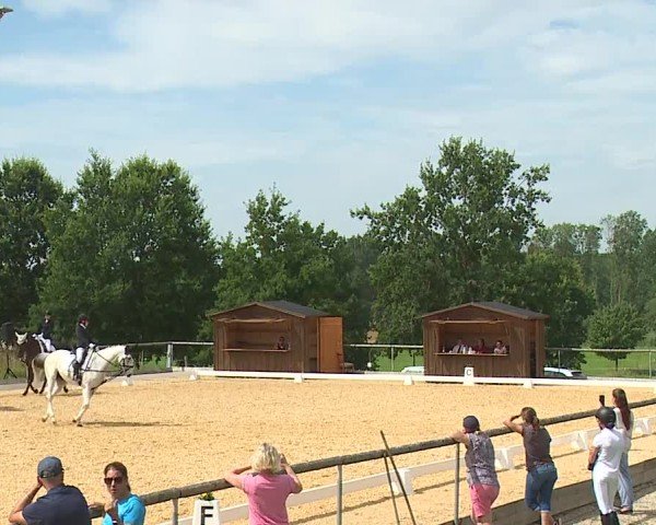 Reitturnier Altentrüdingen/Mfr. 2024