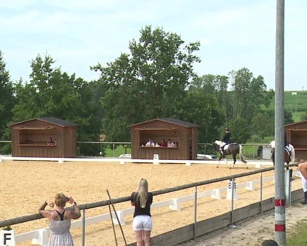 Reitturnier Altentrüdingen/Mfr. 2024