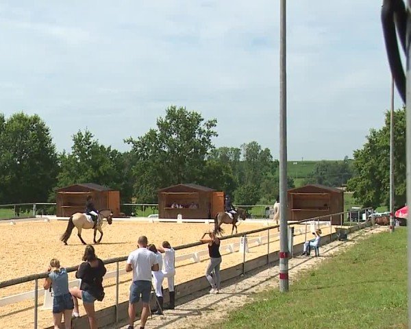 Reitturnier Altentrüdingen/Mfr. 2024