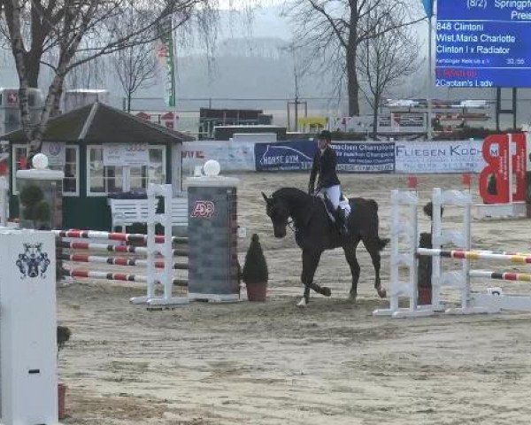 Reitturnier Werne-Lenklar 2013