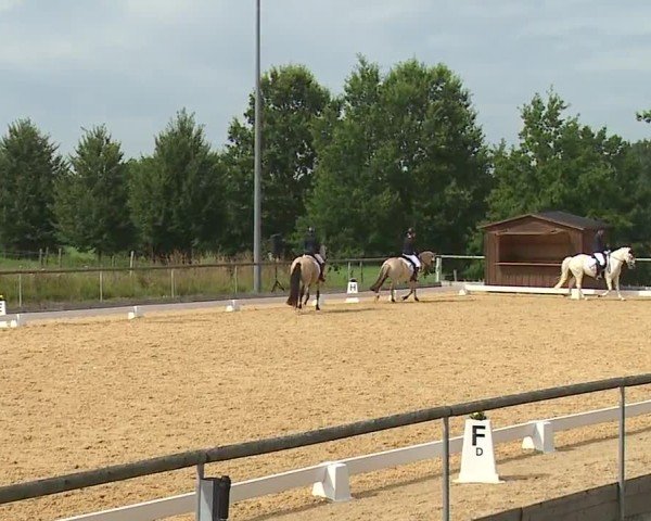Reitturnier Altentrüdingen/Mfr. 2024