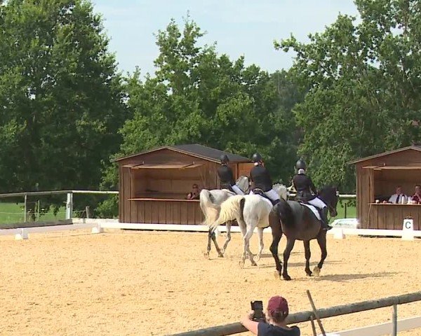 Reitturnier Altentrüdingen/Mfr. 2024