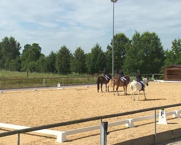 Reitturnier Altentrüdingen/Mfr. 2024