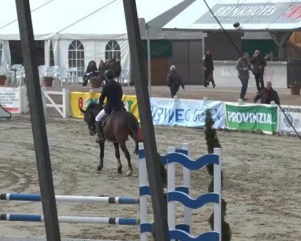 Lenklarer Reitertage auf der Reitsportanlage Gripshöver 2013