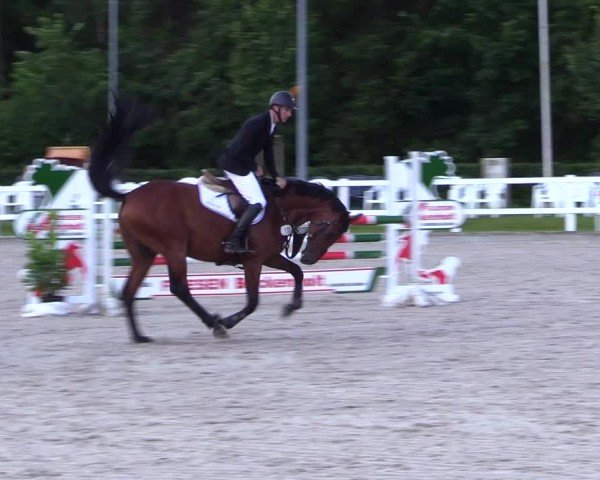 Reitturnier Ladelunder Springtage 2024