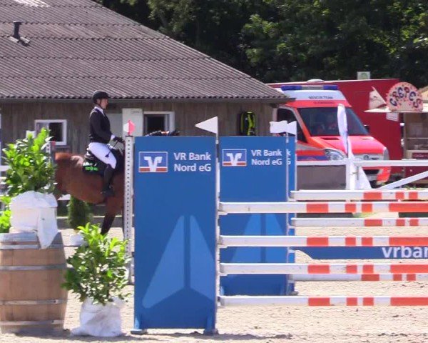 Reitturnier Ladelunder Springtage 2024