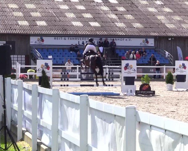 Reitturnier Ladelunder Springtage 2024