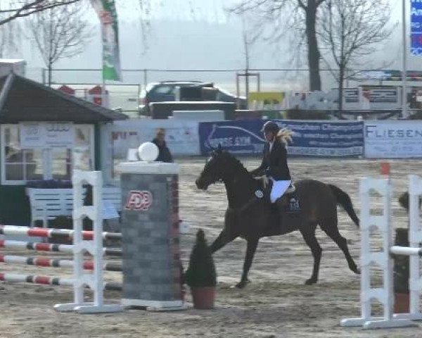 Reitturnier Werne-Lenklar 2013