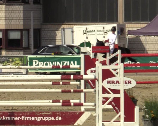 Reitturnier Olfen-Vinnum 2024