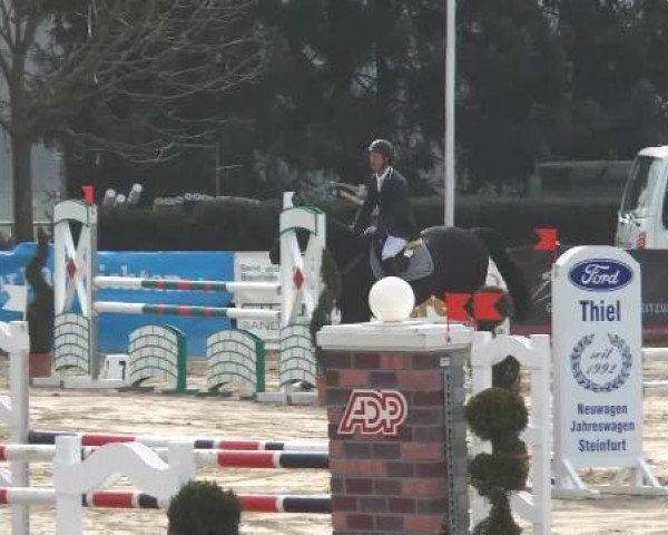 Lenklarer Reitertage auf der Reitsportanlage Gripshöver 2013