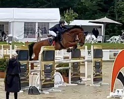 jumper Vubalix (Luxembourg horse, 2018, from Vigo d'Arsouilles)