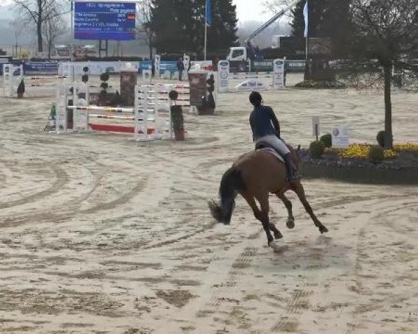 Lenklarer Reitertage auf der Reitsportanlage Gripshöver 2013