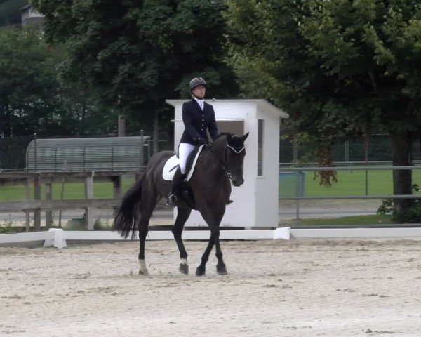 Reitturnier Balsthal 2024