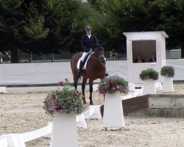 Reitturnier Balsthal 2024