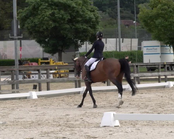 Reitturnier Balsthal 2024