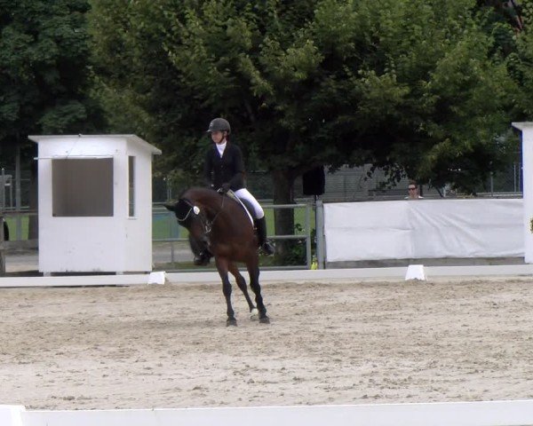 Reitturnier Balsthal 2024