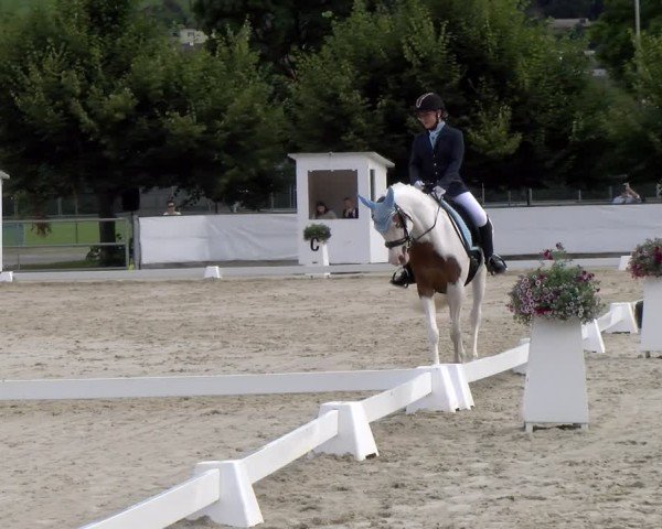 Reitturnier Balsthal 2024