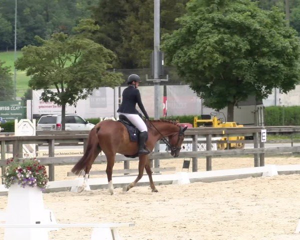 Reitturnier Balsthal 2024