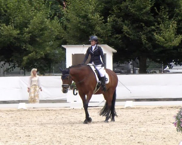Reitturnier Balsthal 2024