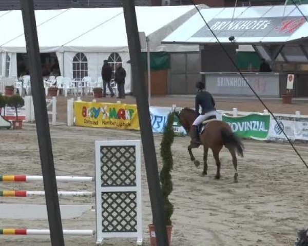 Lenklarer Reitertage auf der Reitsportanlage Gripshöver 2013