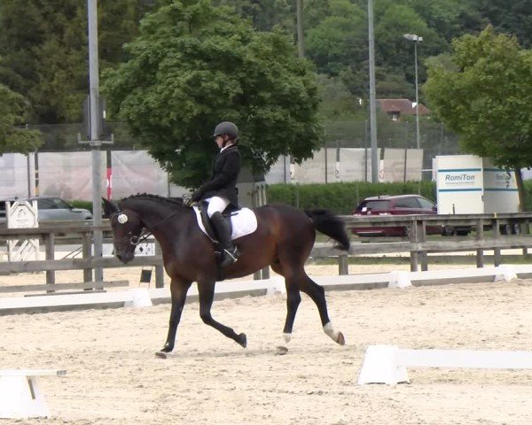 Reitturnier Balsthal 2024
