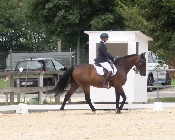 Reitturnier Balsthal 2024