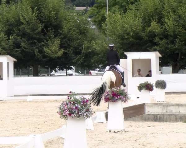 Reitturnier Balsthal 2024