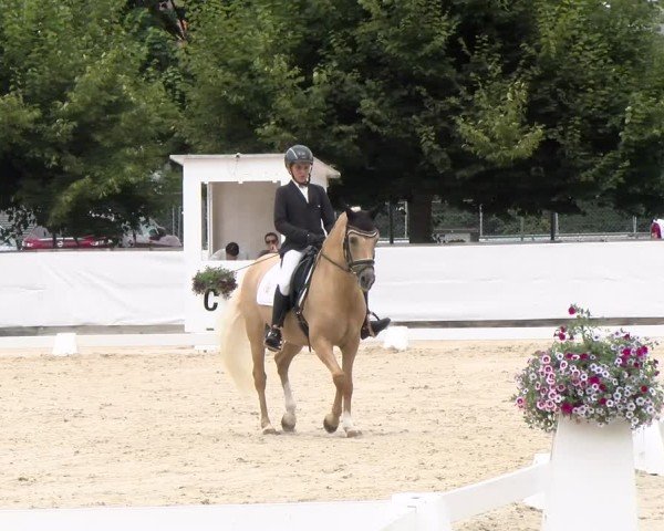 Reitturnier Balsthal 2024