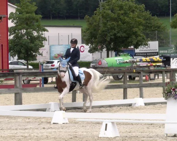 Reitturnier Balsthal 2024