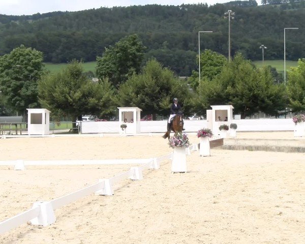 Reitturnier Balsthal 2024