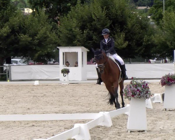 Reitturnier Balsthal 2024