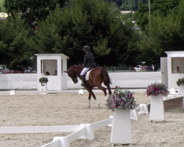 Reitturnier Balsthal 2024