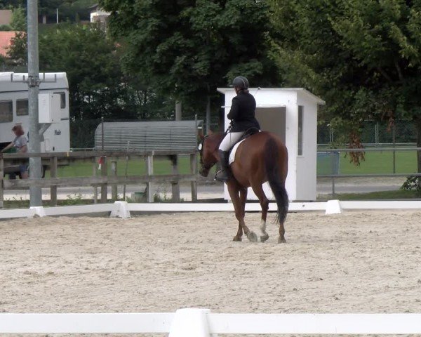 Reitturnier Balsthal 2024