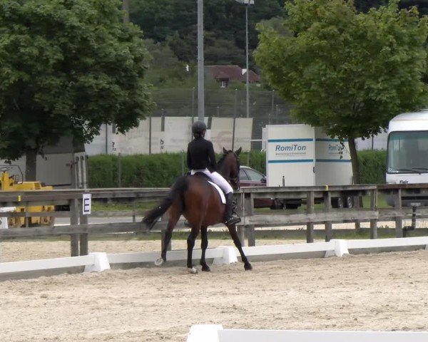 Reitturnier Balsthal 2024