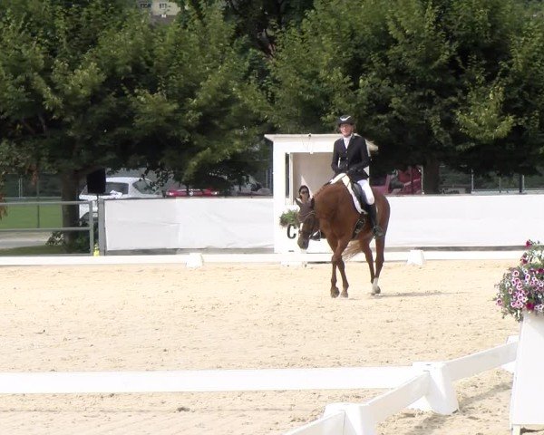 Reitturnier Balsthal 2024