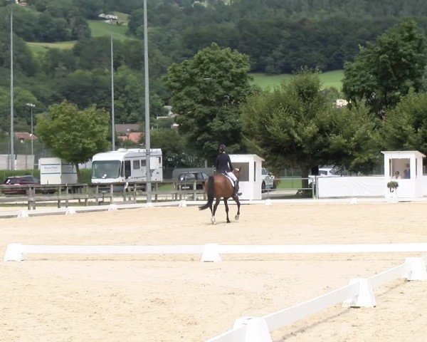 Reitturnier Balsthal 2024