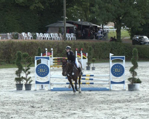 Reitturnier Vlotho-Exter 2024