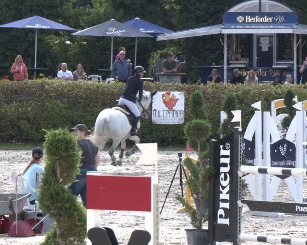 Reitturnier Vlotho-Exter 2024