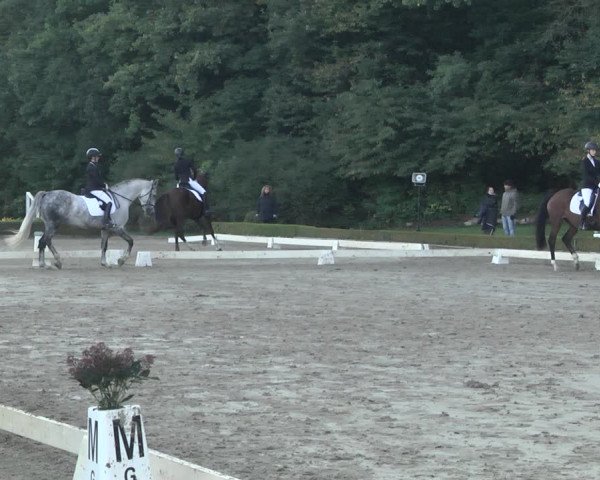 Reitturnier Neu-Anspach / Wintermühle 2021