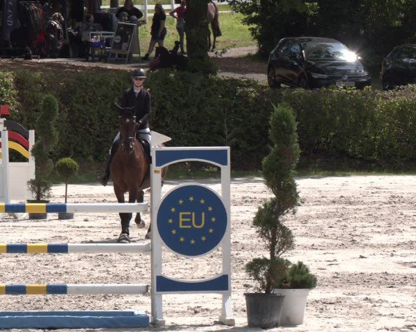 Reitturnier Vlotho-Exter 2024